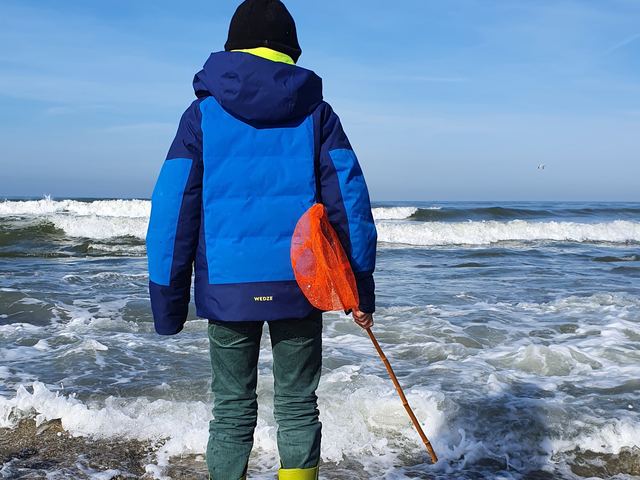 Enfant à la pêche à pied