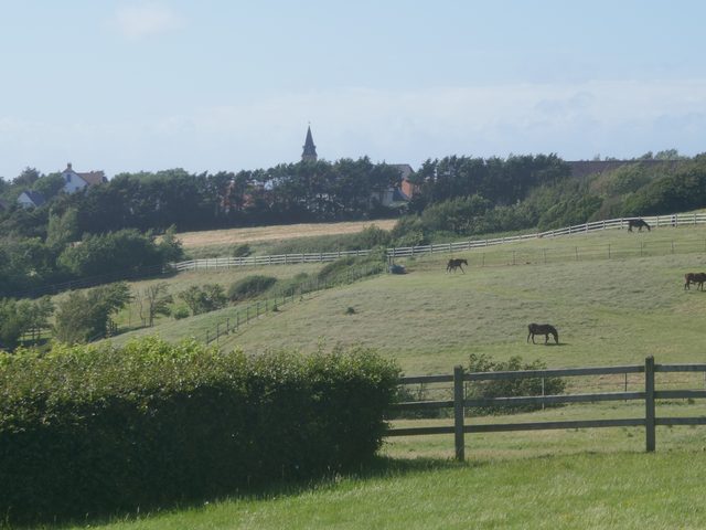 Ambleteuse, its church spire and meadows