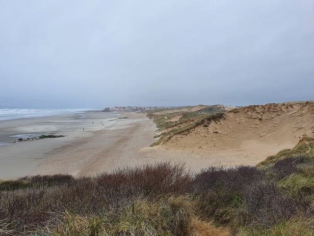 Beach and dunes in spring