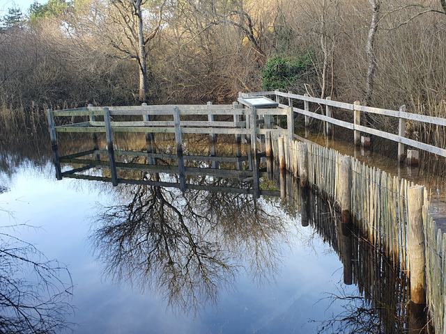 Winter reflections by the water